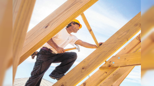 Bauen mit Holz schafft Zukunft