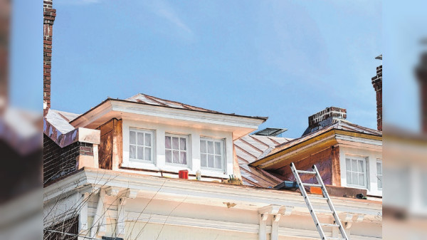 Lebendiger Klassiker für das Dach