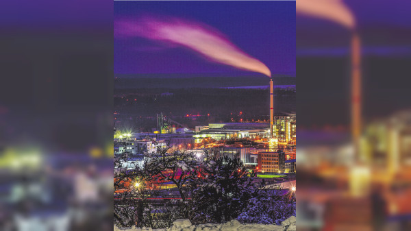 Ulm: ECO-Scout werden