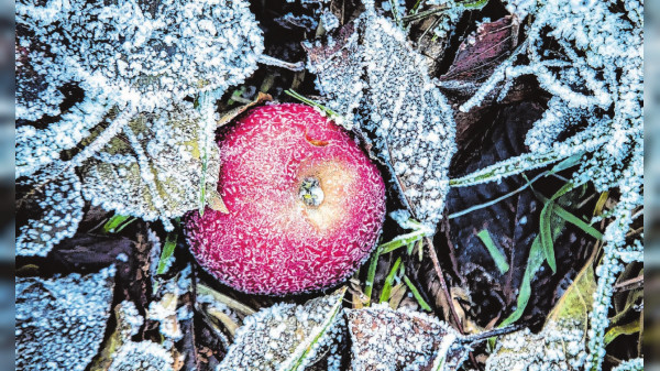 Winterruhe im Garten