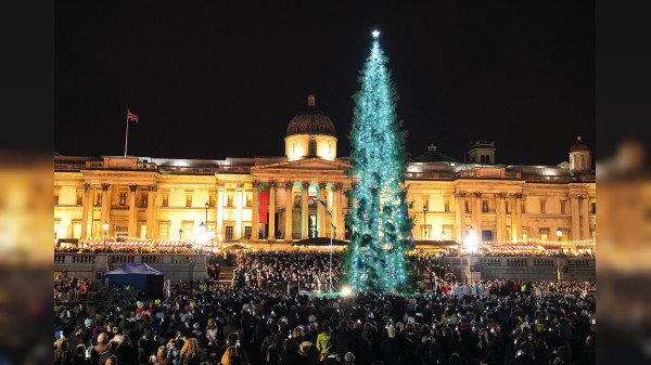 Beeindruckende Weihnachtsbäume aus aller Welt