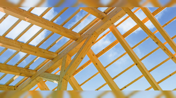 Holz als Rohstoff der Zukunft