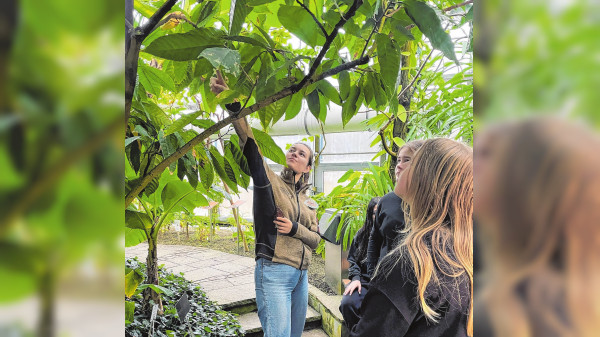 Die Tropen im Winter entdecken