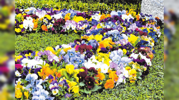 Zeit für frische Farben