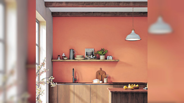 Chic und gut für die Raumluft