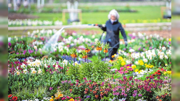 Bunt, fröhlich und idyllisch