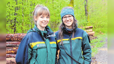 Auf Streifzug durch den Wald als Försterin beim Haller Landratsamt 