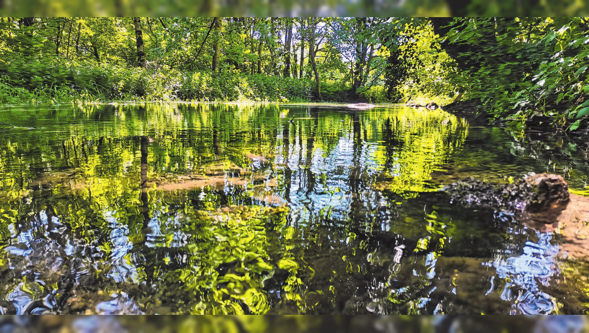 Natur pur rund um Blaustein 