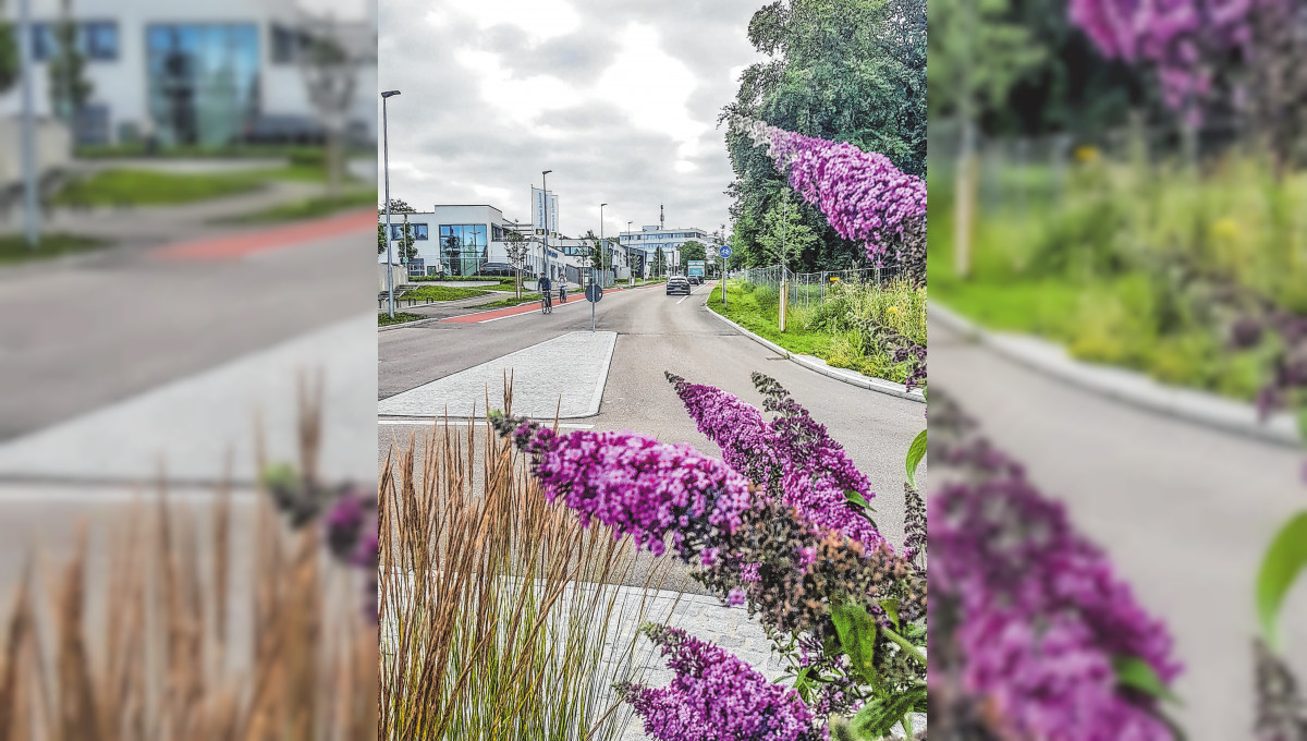 „Wir sind auf der Zielgeraden“, so Martin Maier vom Business-Park Göppingen 