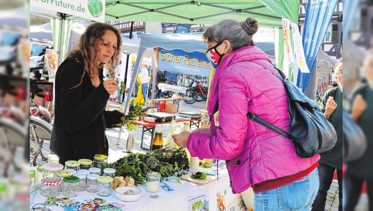 Hohenloher Bio-Markttag in Schwäbisch Hall: Bio schmecken