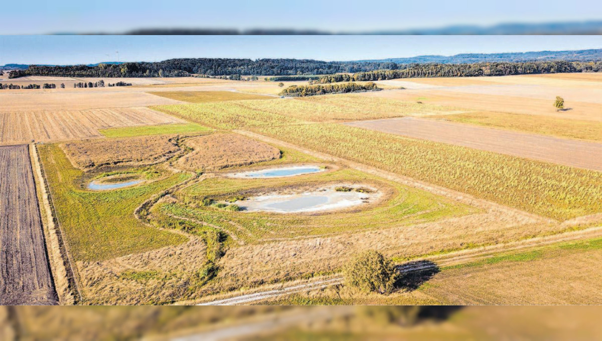 Zahlreiche gefährdete Vögel sind schon da