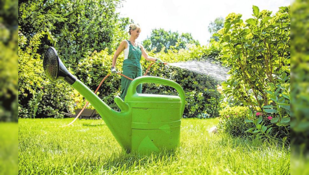 Ein Zufluchtsort im Grünen