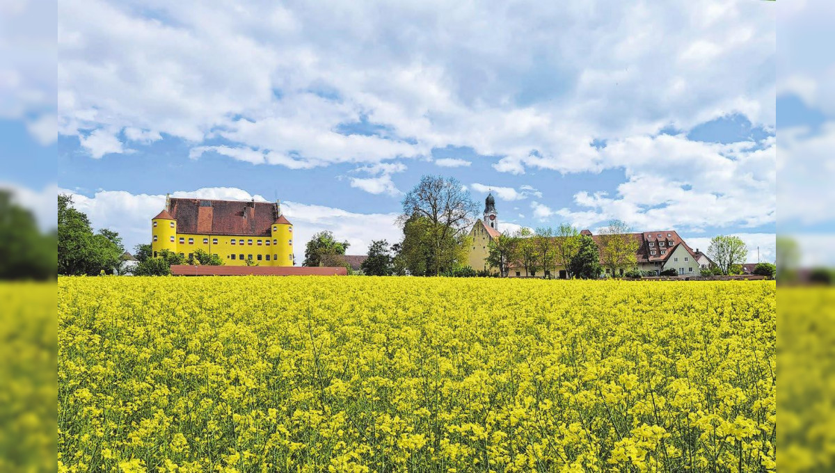 Der Erbacher Handwerker- und Gewerbeverein HGV: Leben in Erbach