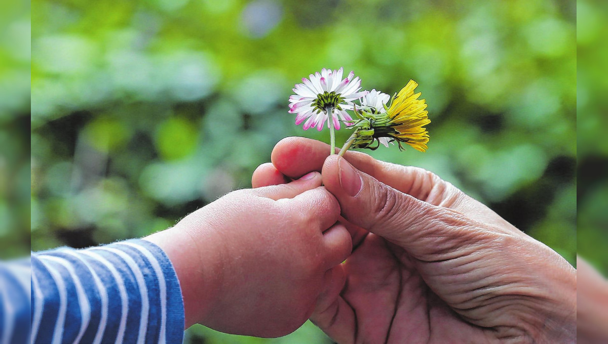 Lasst einfach die Blumen sprechen