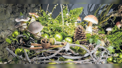 Vorweihnachtliche Atmosphäre schafft schöne Lichtblicke