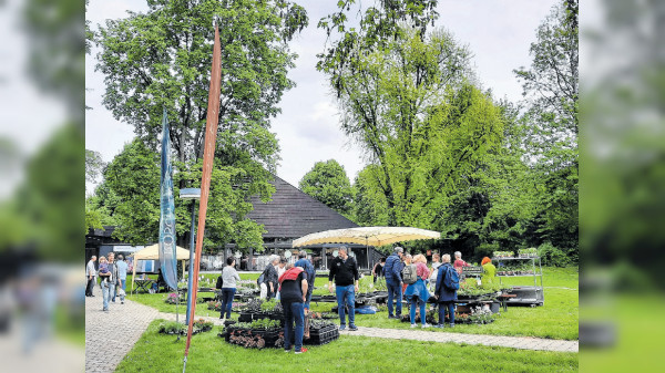 Tübingen: Schlendern, schauen, probieren und genießen