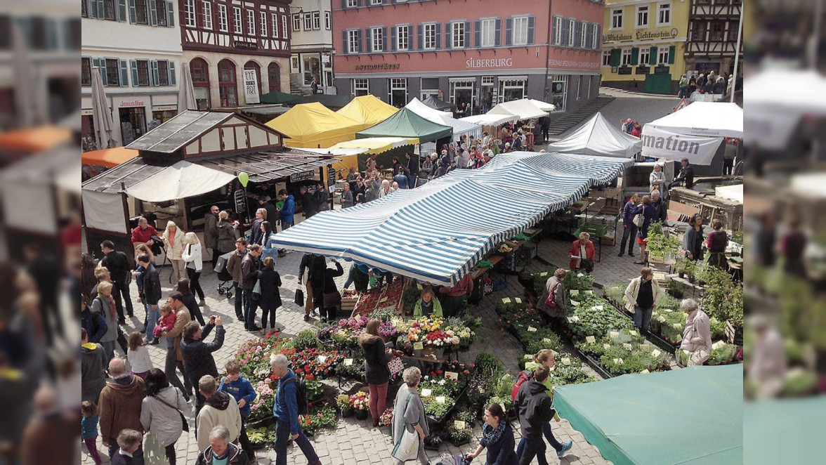 Frühlingsluft weht durch Tübingen am Wochenende