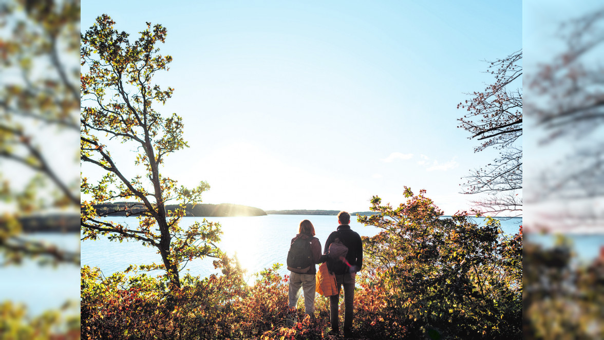 Herbstwanderung am Großen Jasmunder Bodden in Lietzow auf der Insel Rügen. Foto: TMV/Gänsicke