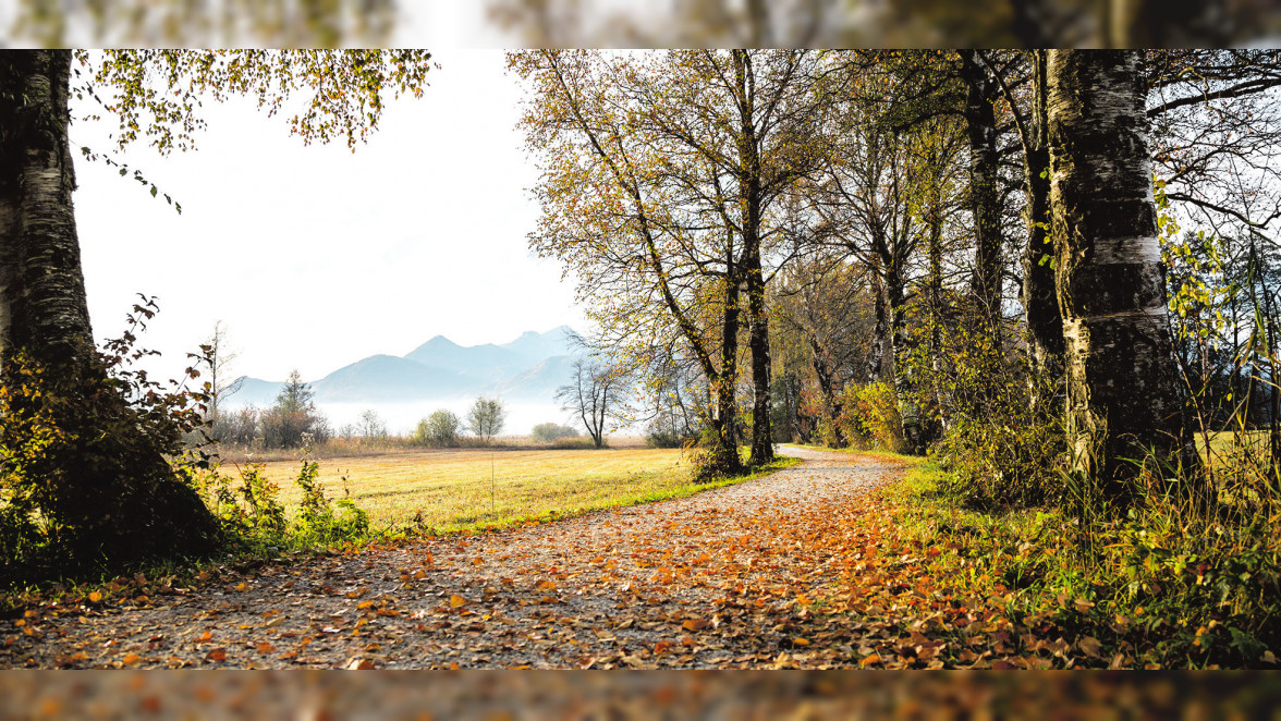 Fotos: Markt Prien am Chiemsee