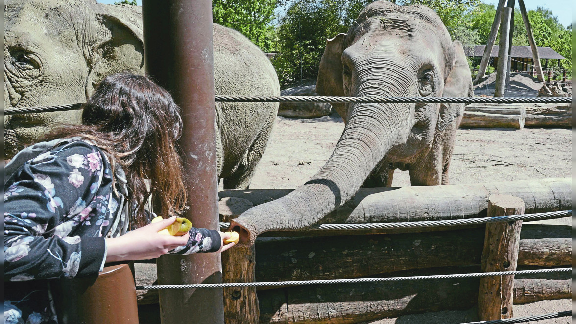 Der Allwetterzoo ist mehr als nur ein Ausflugsziel - auf dem täglichen ...