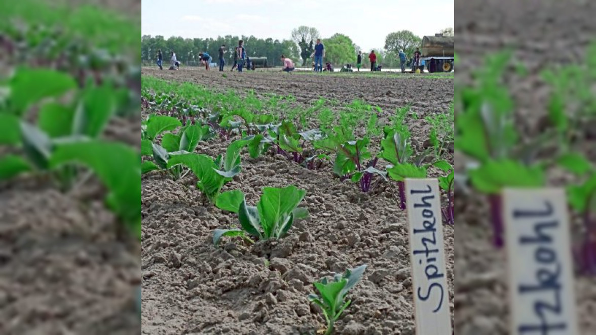 Auf dem Hofgut Schulze Buschhoff den Spaß an der Arbeit im Garten