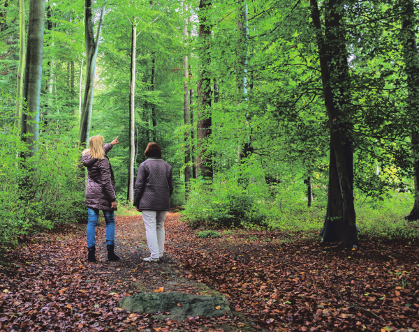 Pulheimer Hospizverein: Trauerwanderung