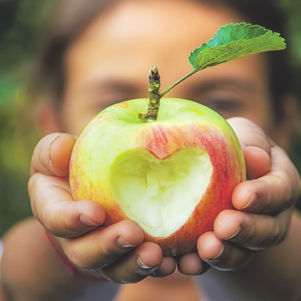 Herz für Äpfel: Zum Reinbeißen lecker