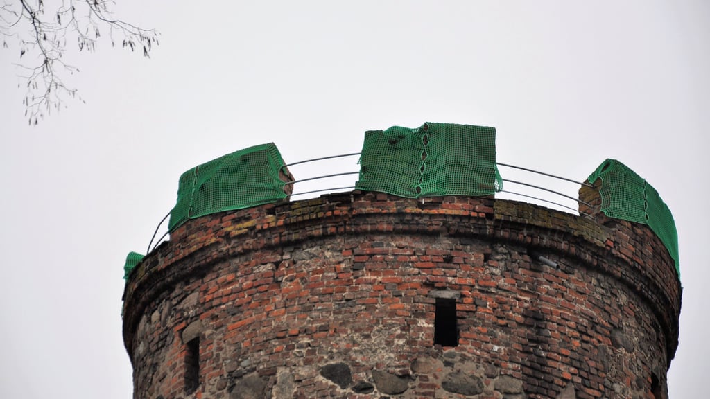 Die Zinnen der Sternwarte am Zerbster Francisceum sind marode. Eine Sanierung mit Fördermitteln ist geplant.
