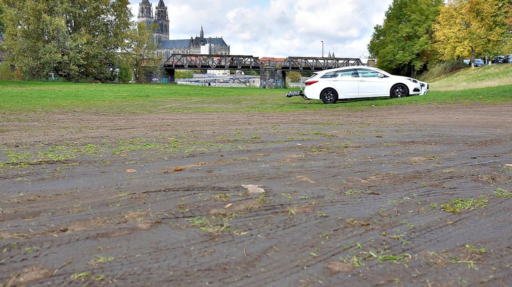 So sieht der Einfahrtsbereich für den Parkplatz auf der Elbwiese in Magdeburg aus.   