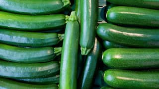 Und bitte nicht zu spät ernten: Bei einer Länge von rund 15 Zentimetern haben Zucchini das beste Aroma