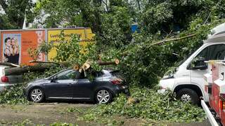Unwetter in Berlin! Große Äste stürzen auf Autos