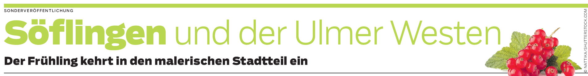 Söflinger Sommer in Ulm: Es wird wieder gefeiert