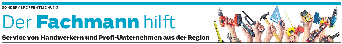 Das Auto als Hitzefalle für Hunde