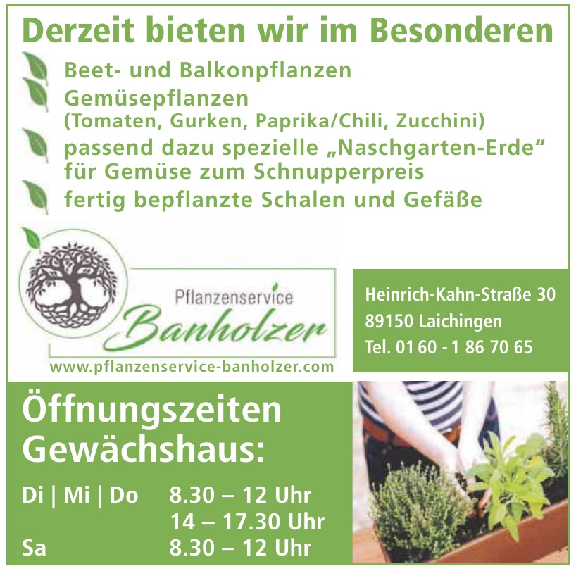 Grüne kombiniert mit pfiffigen Strukturen aus Stein