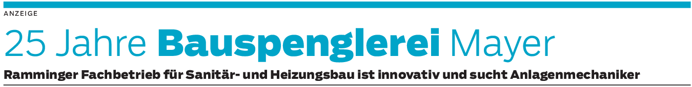 „Wir sind ein Bau-Profi”, so die Bauspenglerei Manfred Mayer aus Rammingen