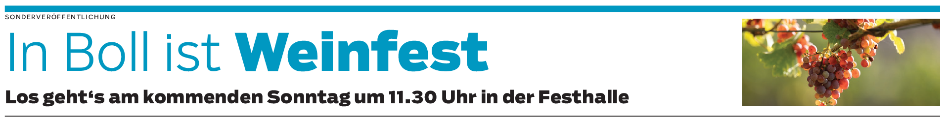 Weinfest des Musikvereins Boll: Verwöhn-Sonntag für den Gaumen