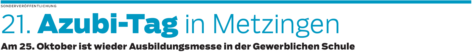 Gewerbeschule Metzingen: Klischeefreie Berufswahl