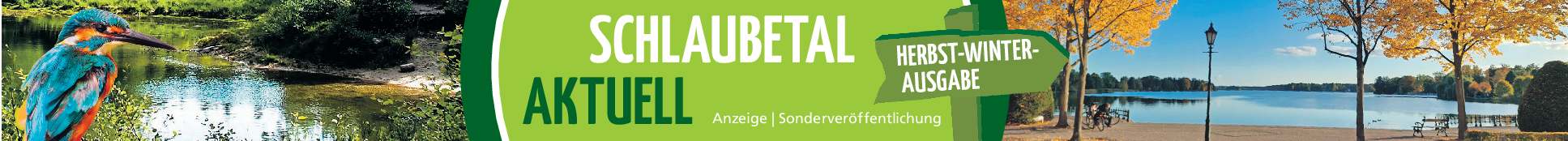 Immer wieder neue Ideen