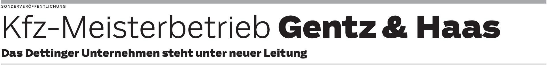 Autoreparatur bei Gentz & Haas in Dettingen: Die Werkstatt des Vertrauens