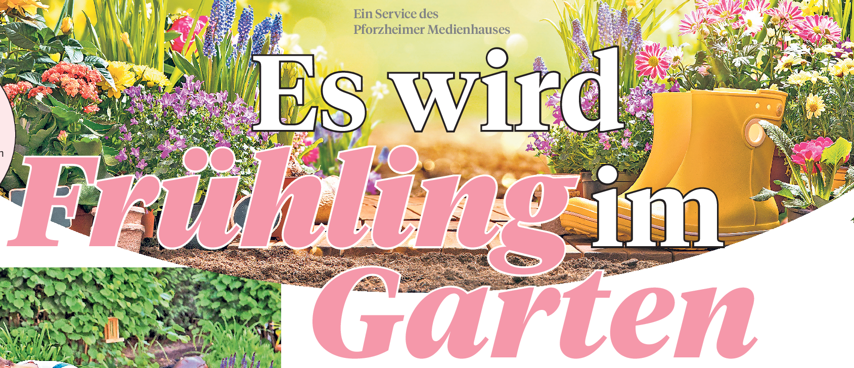 "Ein-Drittel-Regel wird zur 50-Prozent-Regel" 