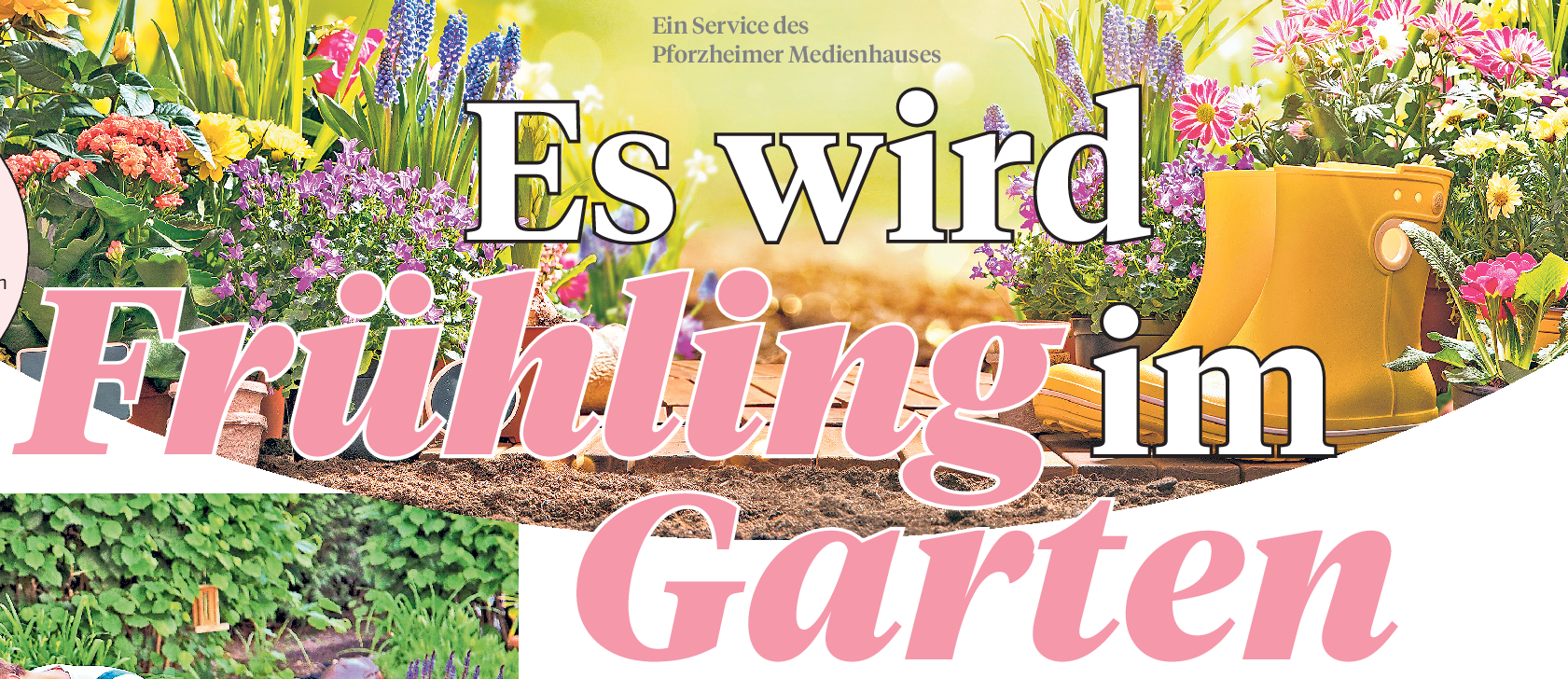 Tipps zum Frühblüher-Kauf