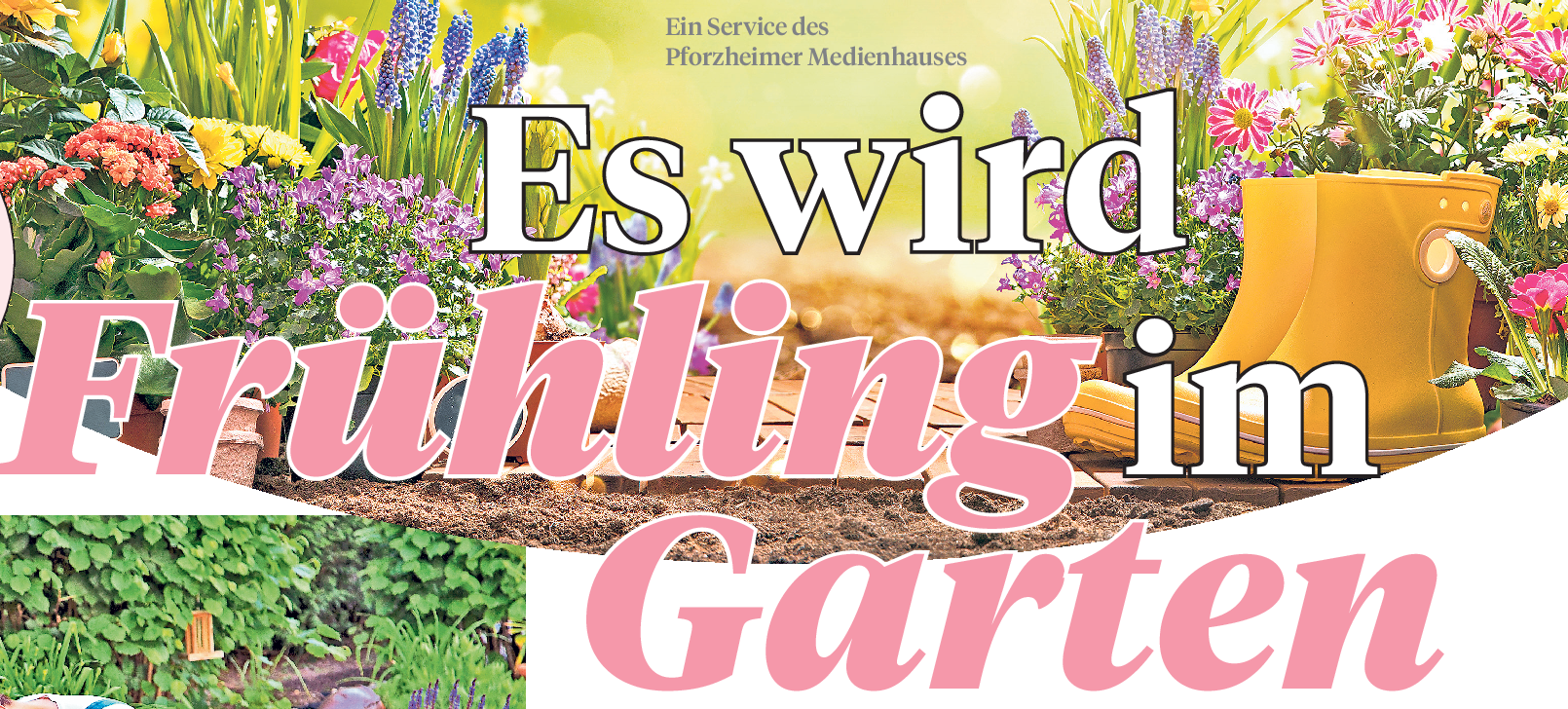 Tipps zur Wahl eines Mährobots: "Zuverlässig und effektiv"