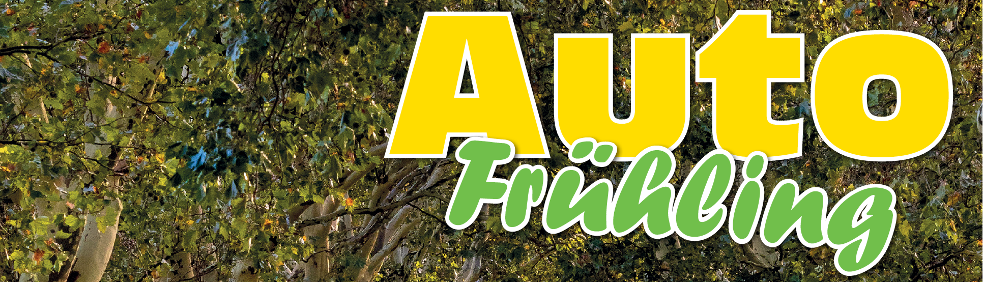 Frühjahrsputz für das Auto