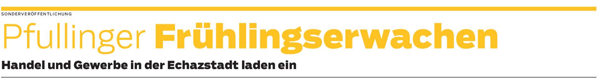 Pfullinger ,,Frühlingserwachen": Ein bunter Tag zum Start in den Lenz