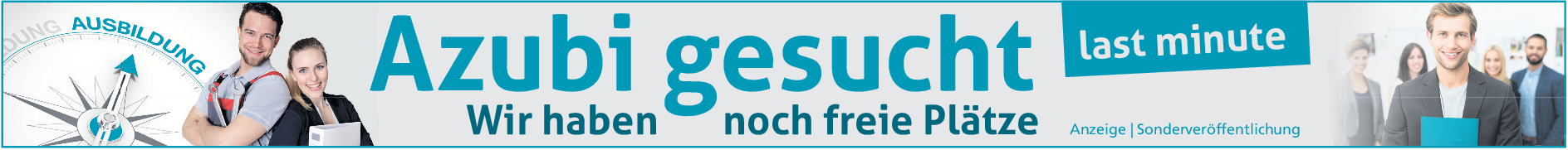Geschlechterteilung in der Berufswelt 