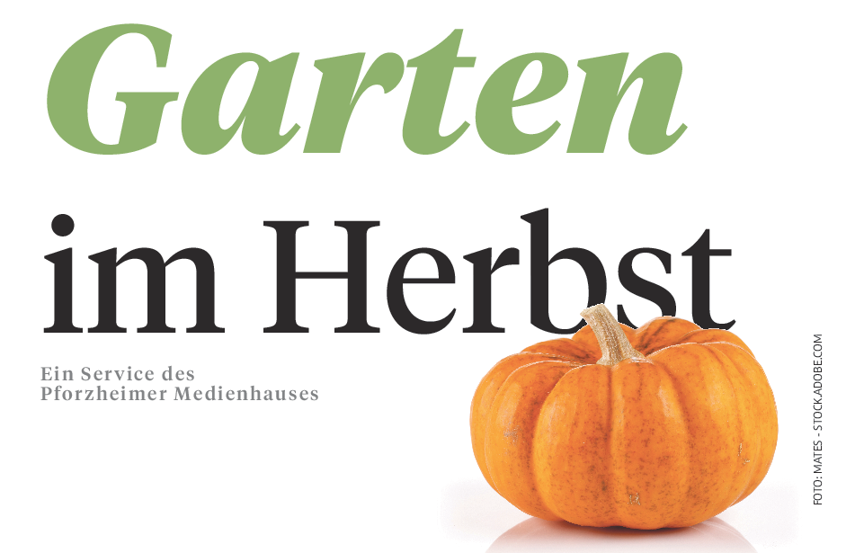 Faszinierende Natur
