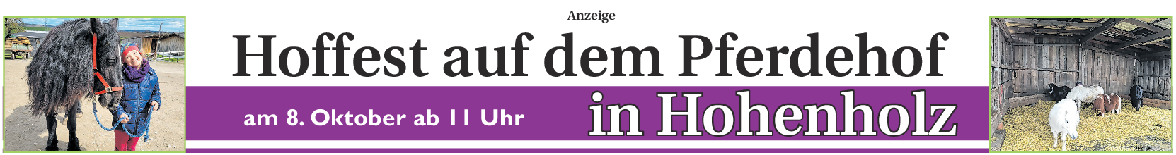 Hoffest auf dem Pferdehof in Hohenholz: Einladung auf das Pferdeparadies