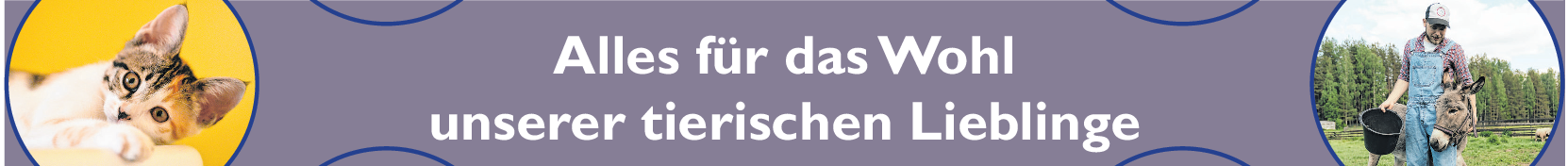 Vorsorge ist auch bei Hunden besser als Nachsorge