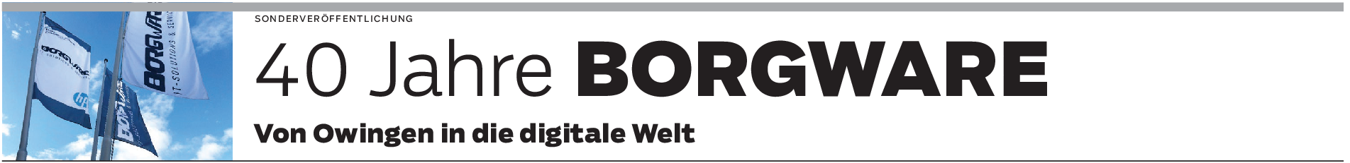 Borgware in Owingen: Führender IT-Spezialist in der Region