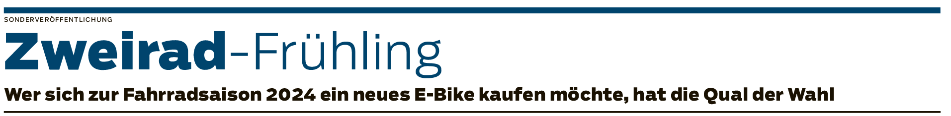 Die neuen E-Bike-Trends